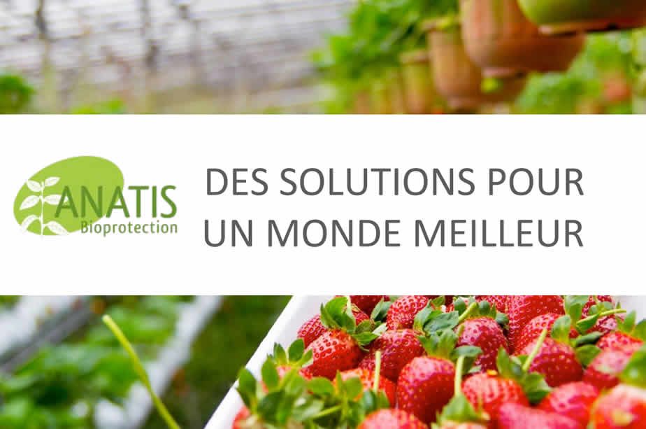 2025-05-26-anatis-bioprotection-des-solutions-pour-un-monde-meilleur-avageurs-et-ennemis-naturels